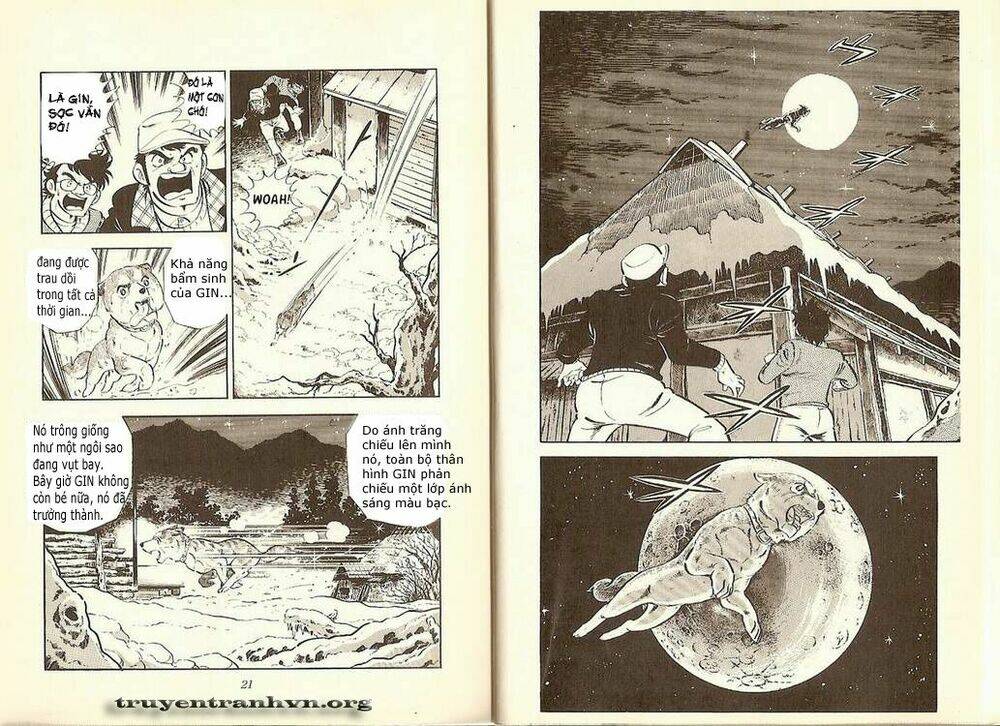Chú Chó Có Nghĩa – Ginga Nagareboshi Gin Chapter 7 - Trang 2