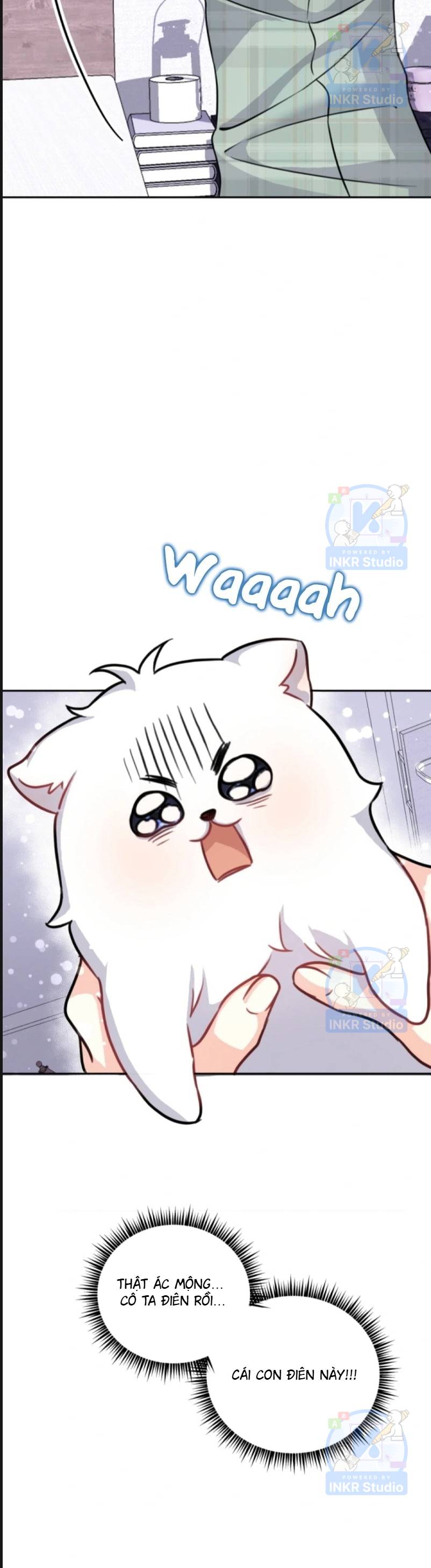 Chú Cún Con Đầy Nam Tính Chapter 4 - Trang 2