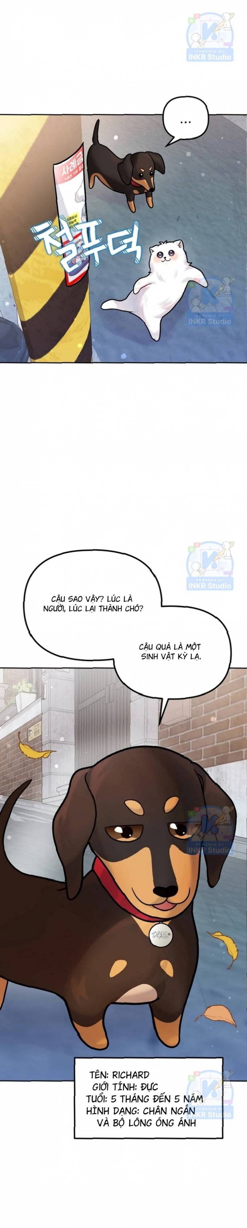 Chú Cún Con Đầy Nam Tính Chapter 9.42 - Trang 2