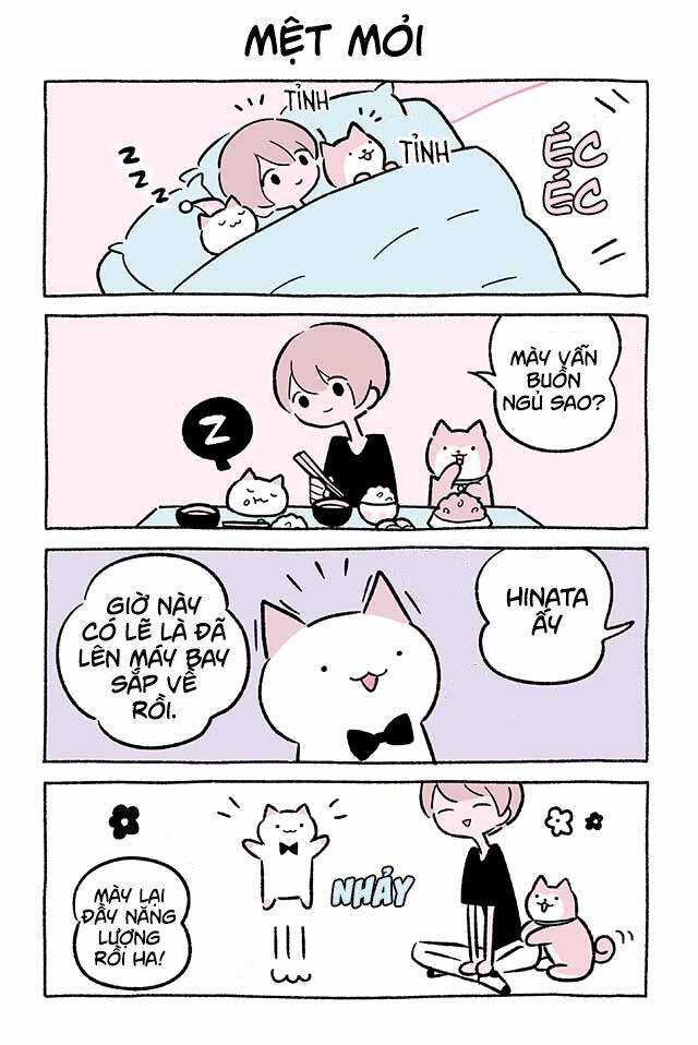 Chú Mèo Kỳ Diệu Kyuu-Chan Chapter 455 - Trang 2