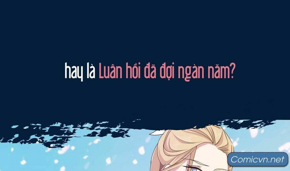 Chủ Tịch Và Nữ Sát Thủ Chapter 0 - Trang 2