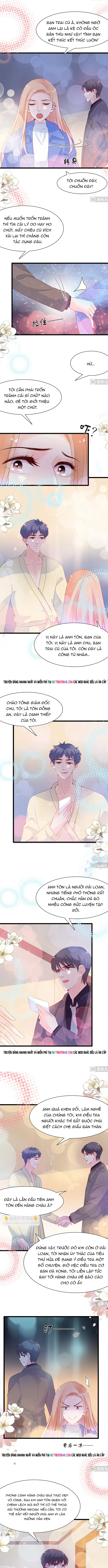Chu Tiên Sinh, Ép Cưới Phạm Pháp Đó Chapter 104 - Trang 2