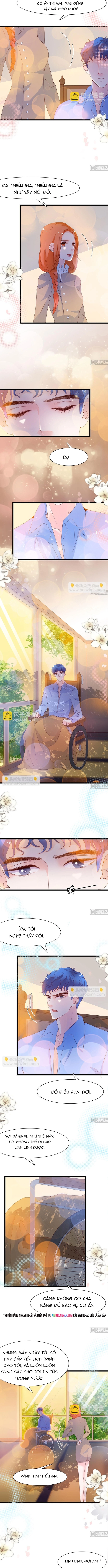 Chu Tiên Sinh, Ép Cưới Phạm Pháp Đó Chapter 108 - Trang 2