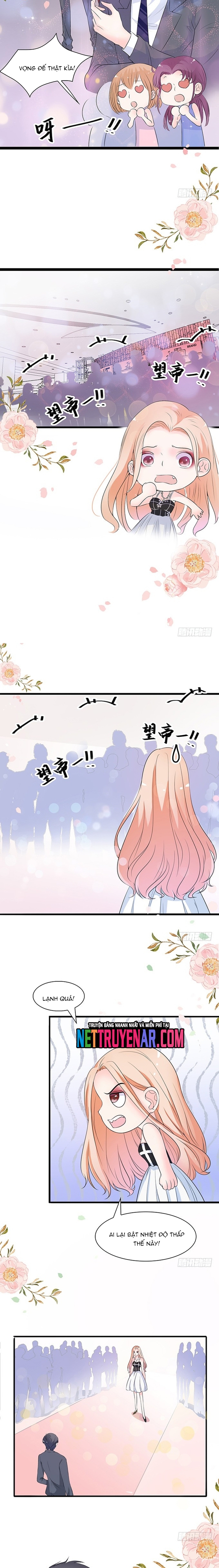 Chu Tiên Sinh, Ép Cưới Phạm Pháp Đó Chapter 36 - Trang 2