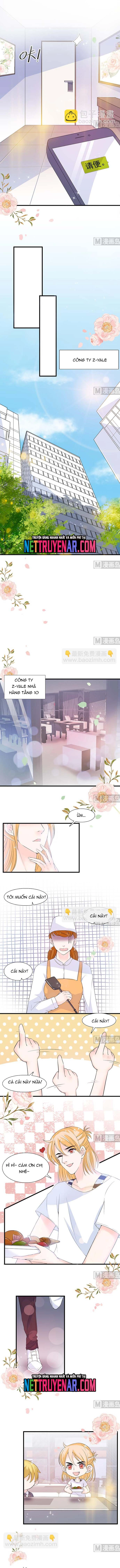 Chu Tiên Sinh, Ép Cưới Phạm Pháp Đó Chapter 52 - Trang 2