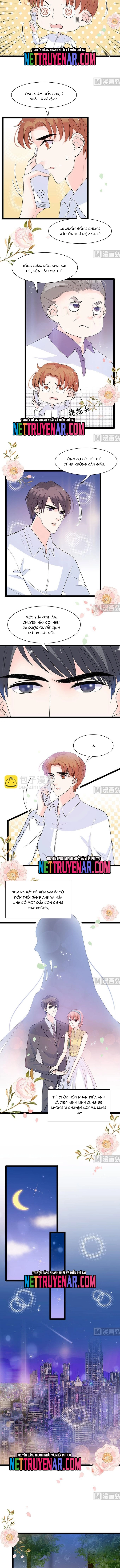 Chu Tiên Sinh, Ép Cưới Phạm Pháp Đó Chapter 55 - Trang 2