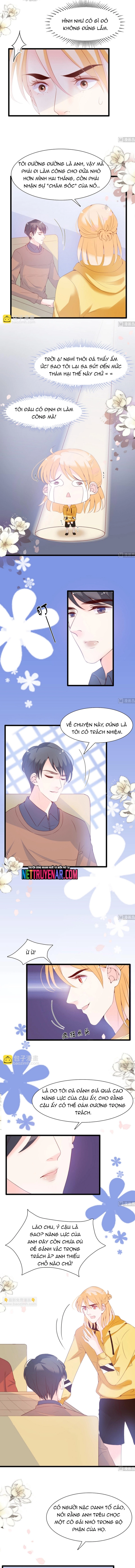 Chu Tiên Sinh, Ép Cưới Phạm Pháp Đó Chapter 66 - Trang 2