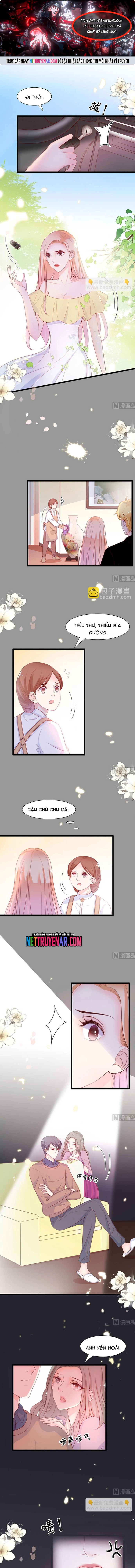 Chu Tiên Sinh, Ép Cưới Phạm Pháp Đó Chapter 69 - Trang 2