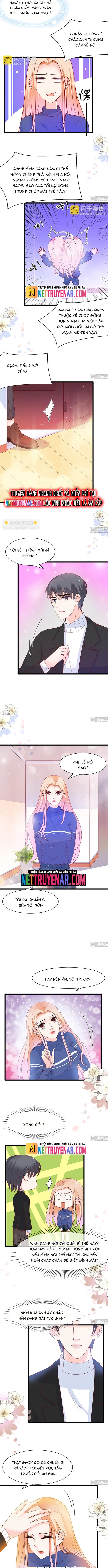 Chu Tiên Sinh, Ép Cưới Phạm Pháp Đó Chapter 88 - Trang 2