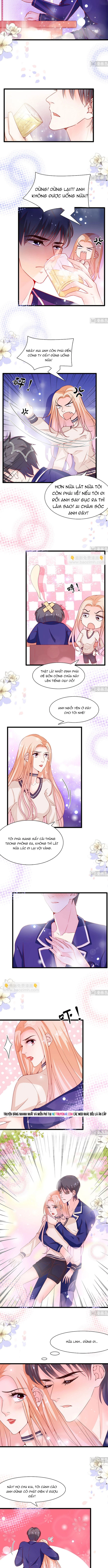 Chu Tiên Sinh, Ép Cưới Phạm Pháp Đó Chapter 91 - Trang 2