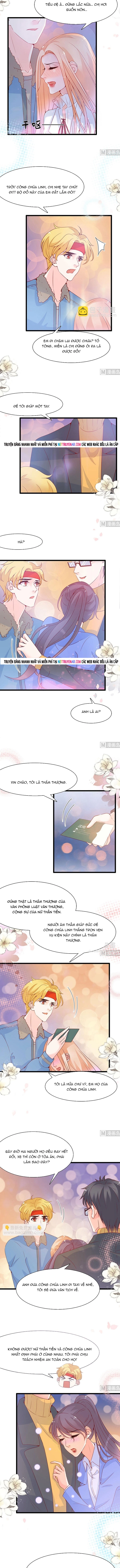 Chu Tiên Sinh, Ép Cưới Phạm Pháp Đó Chapter 94 - Trang 2