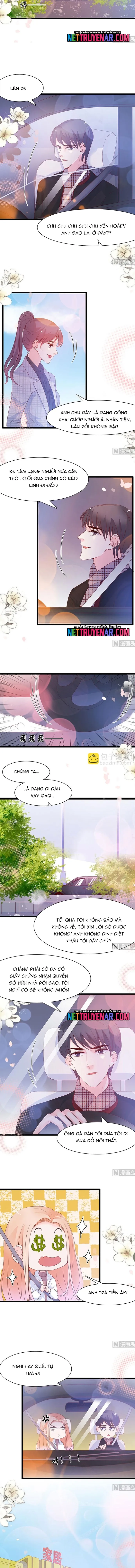 Chu Tiên Sinh, Ép Cưới Phạm Pháp Đó Chapter 96 - Trang 2