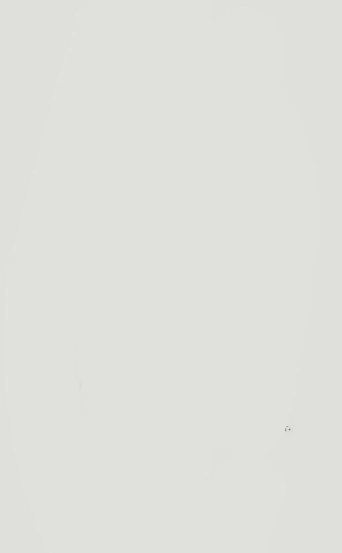 Chúa Tể Học Đường Chapter 189 - Trang 2