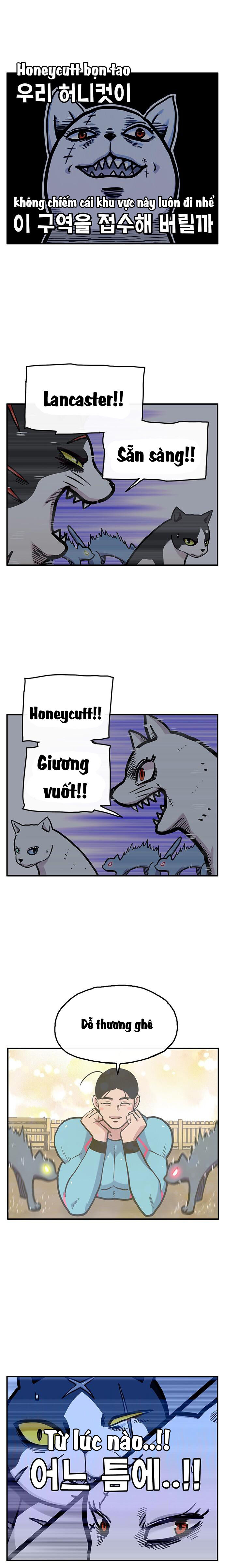 Chúa Tể Muôn Loài Chapter 25 - Trang 2