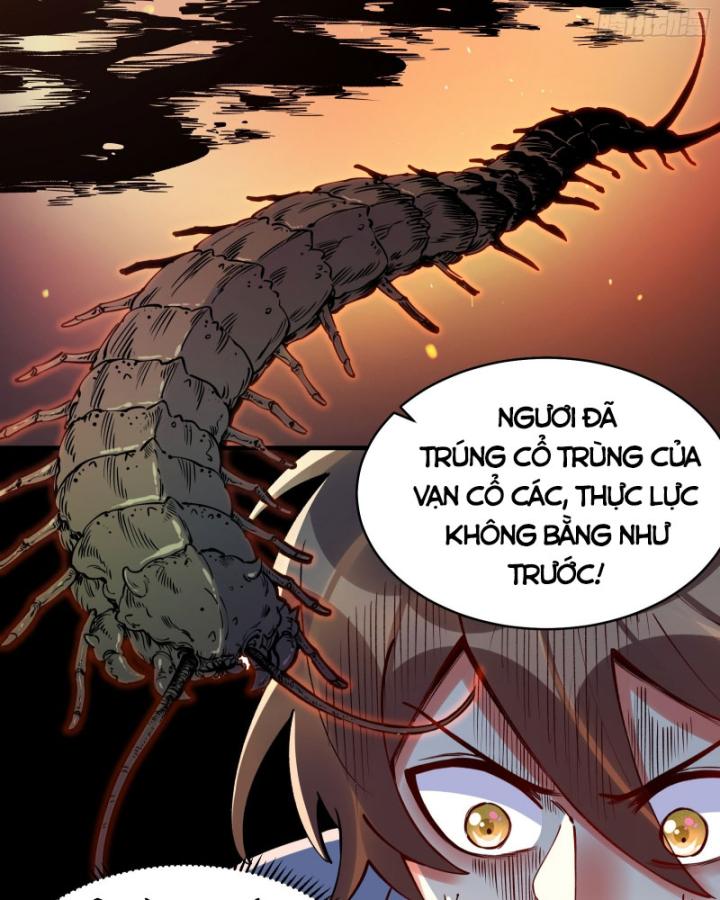 Chưa Từng Động Tay, Ta Trở Thành Thiên Bảng Đại Lão Chapter 1 - Trang 2