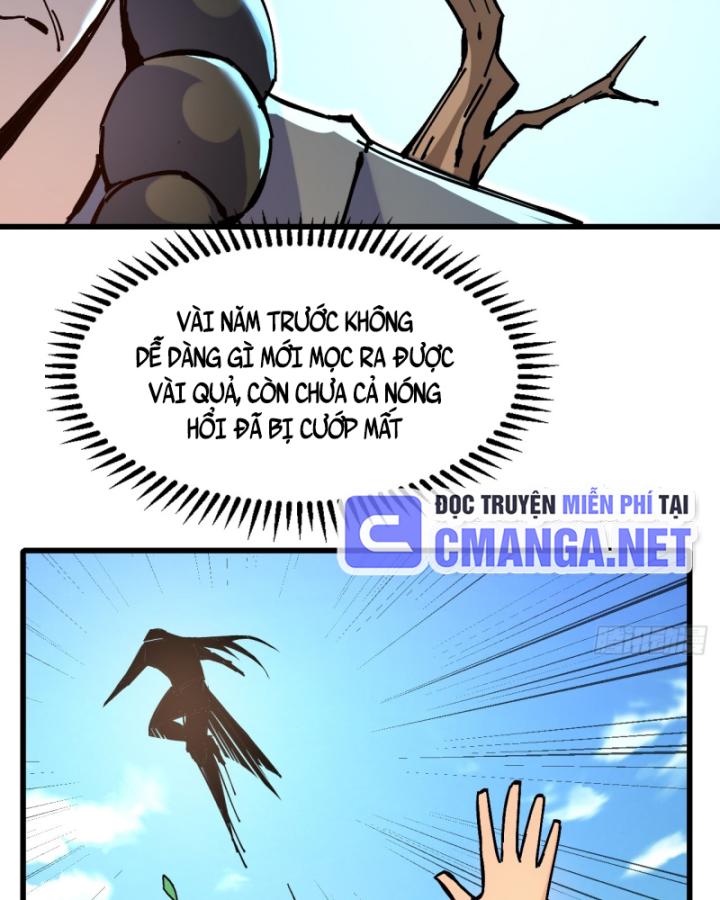 Chưa Từng Động Tay, Ta Trở Thành Thiên Bảng Đại Lão Chapter 20 - Trang 2