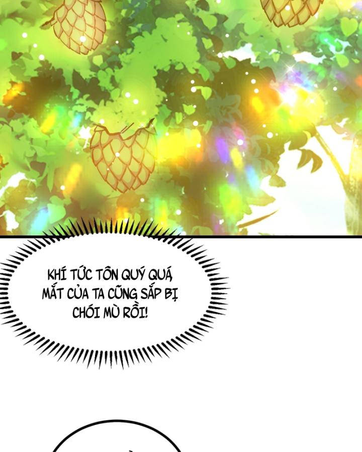 Chưa Từng Động Tay, Ta Trở Thành Thiên Bảng Đại Lão Chapter 20 - Trang 2