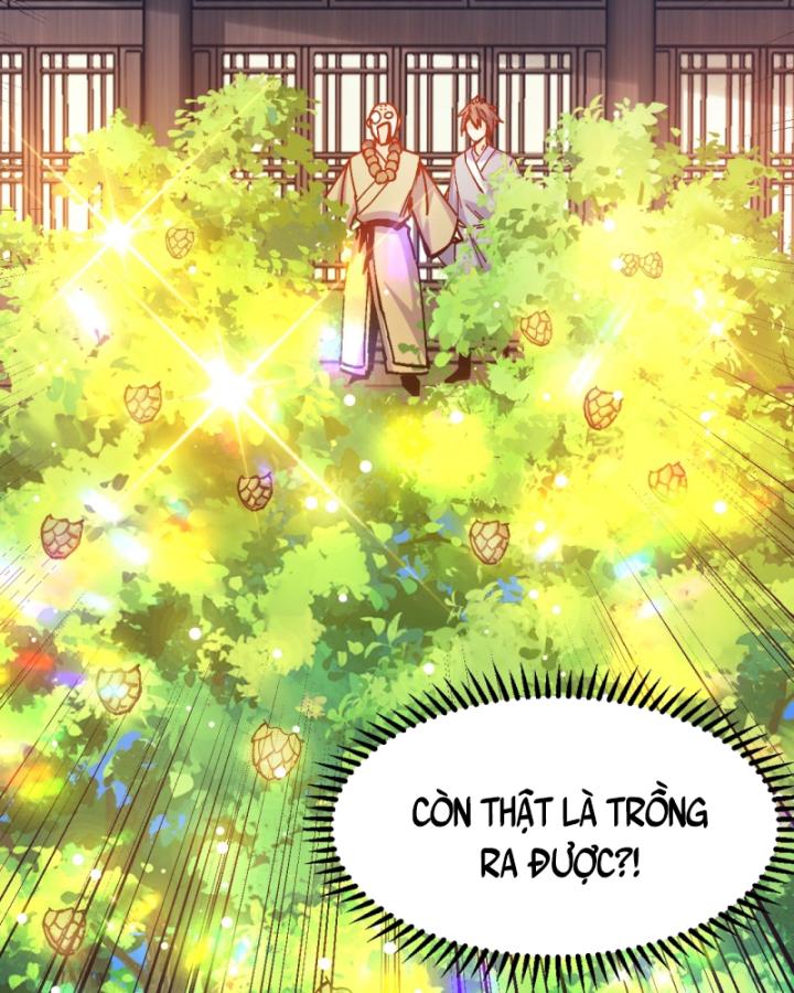 Chưa Từng Động Tay, Ta Trở Thành Thiên Bảng Đại Lão Chapter 20 - Trang 2