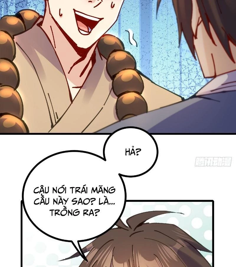 Chưa Từng Ra Tay Nhưng Ta Vẫn Thành Đại Lão Trên Thiên Bảng Chapter 19 - Trang 2