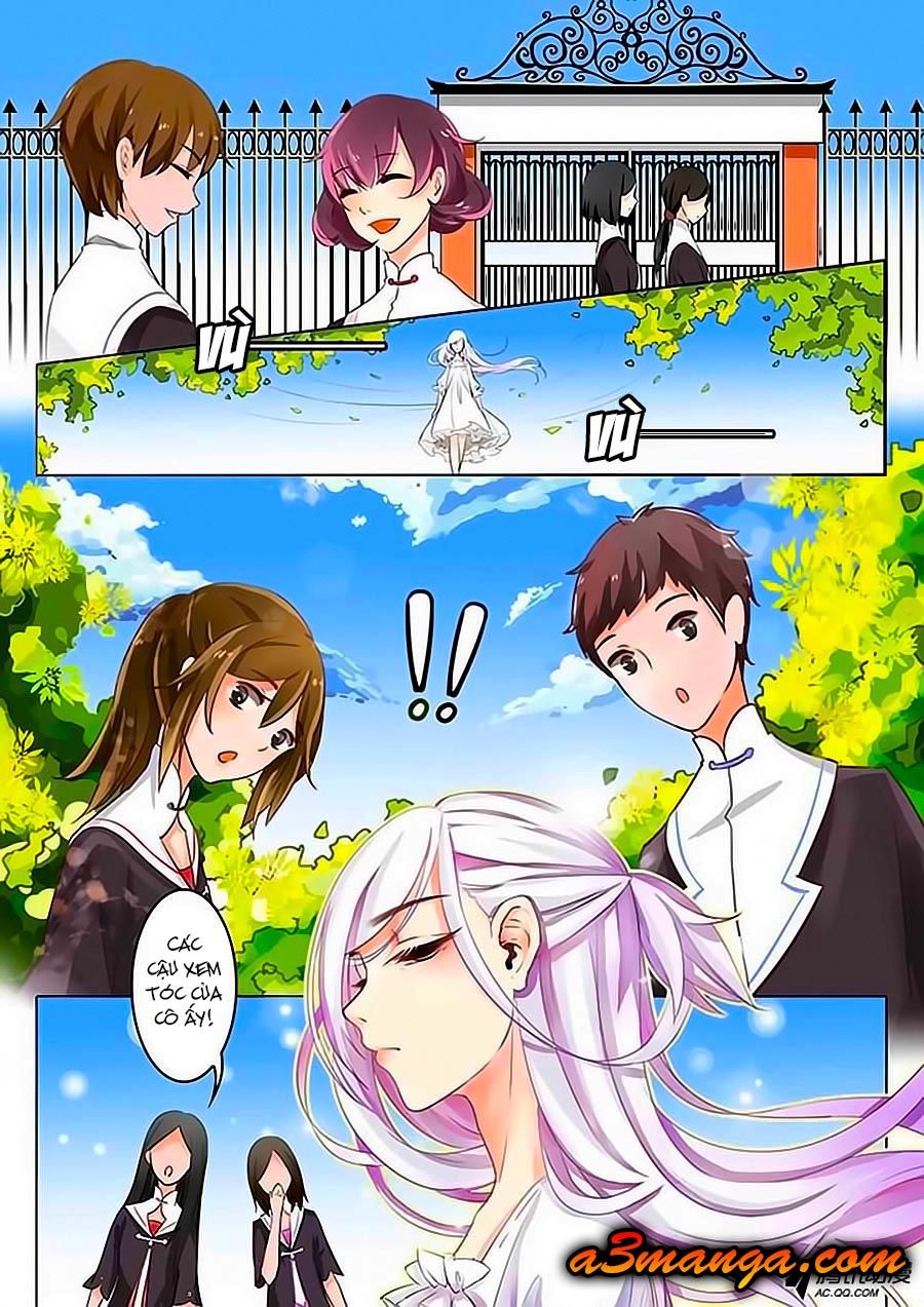 Chước Chước Lưu Ly Hạ Chapter 1 - Trang 2