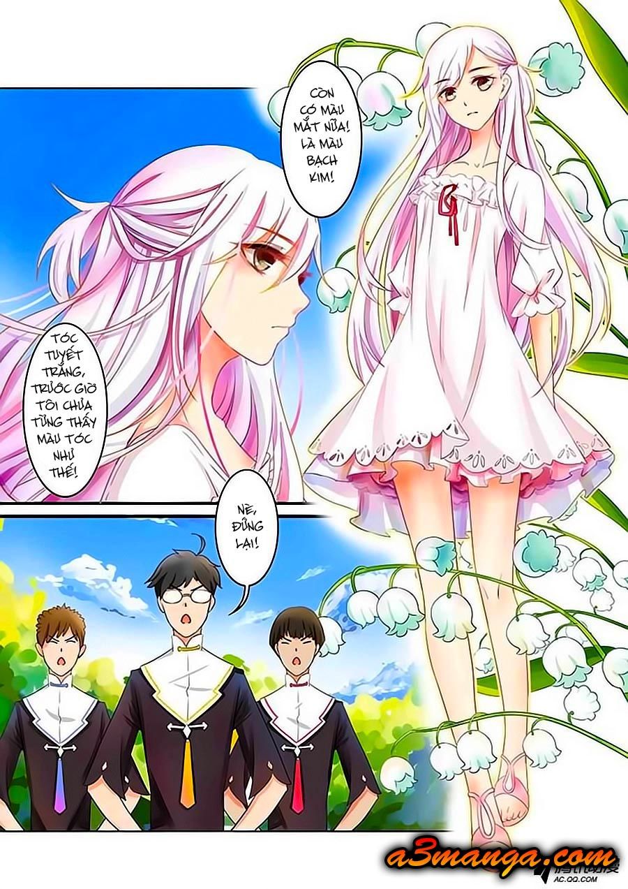 Chước Chước Lưu Ly Hạ Chapter 1 - Trang 2