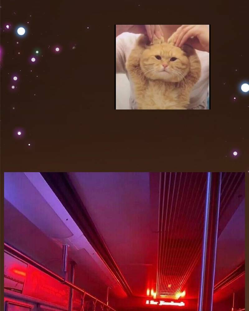 Chưởng Môn Khiêm  Tốn Chút Chapter 133 - Trang 2