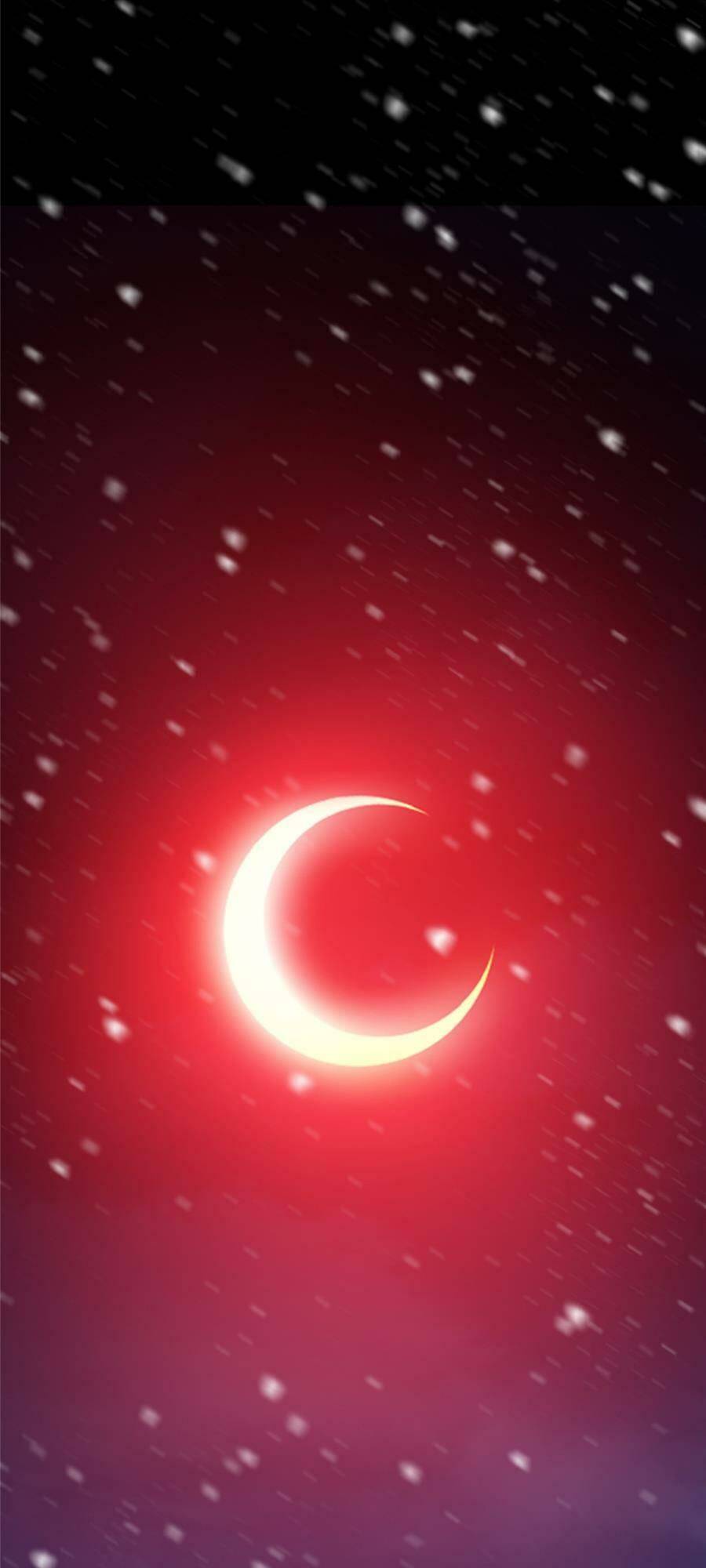 Chưởng Môn Khiêm  Tốn Chút Chapter 238 - Trang 2