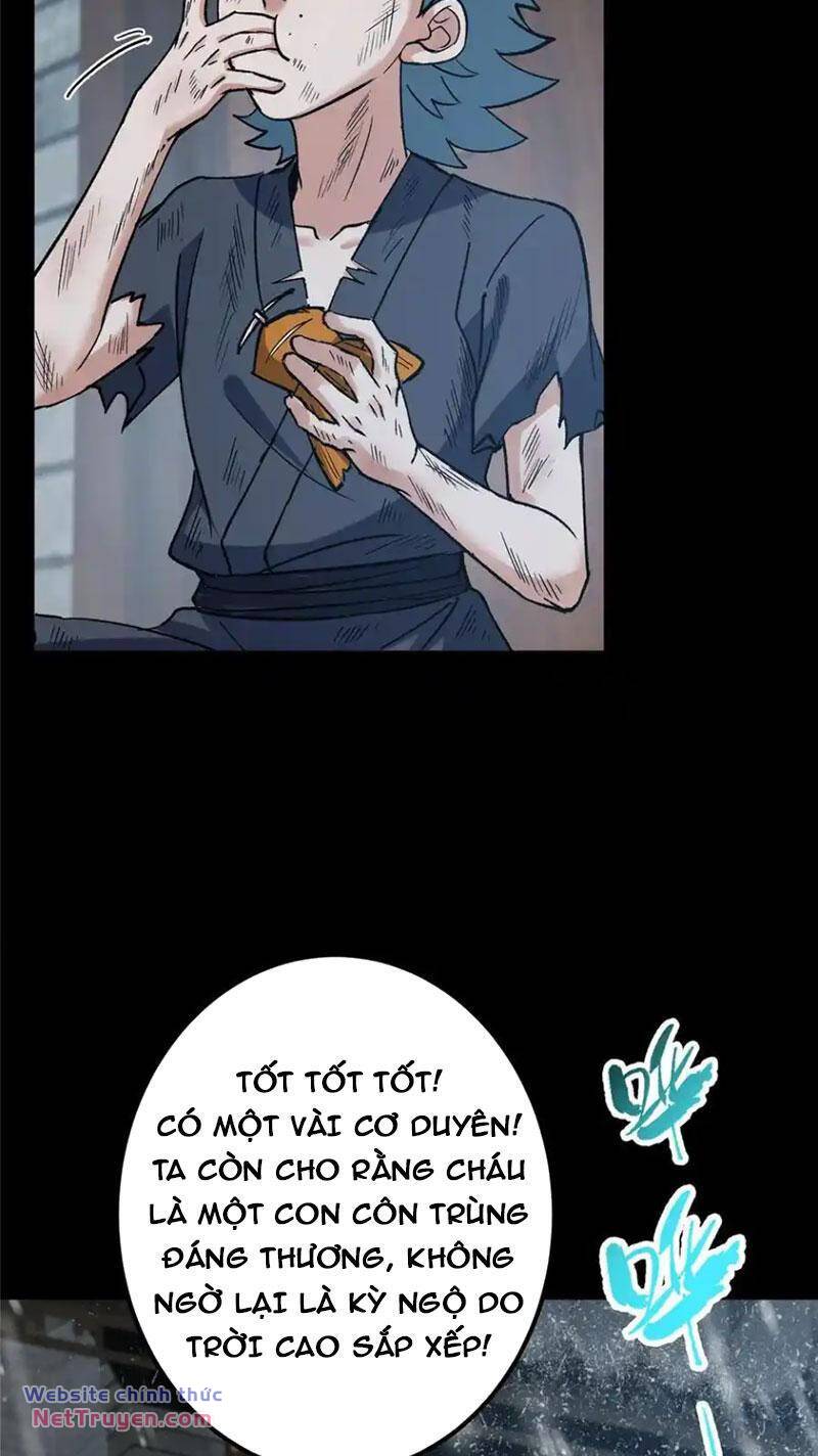 Chưởng Môn Khiêm  Tốn Chút Chapter 354 - Trang 2