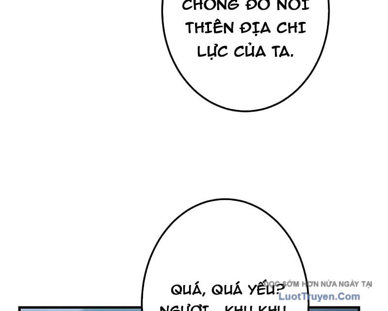 Chưởng Môn Khiêm  Tốn Chút Chapter 562 - Trang 2