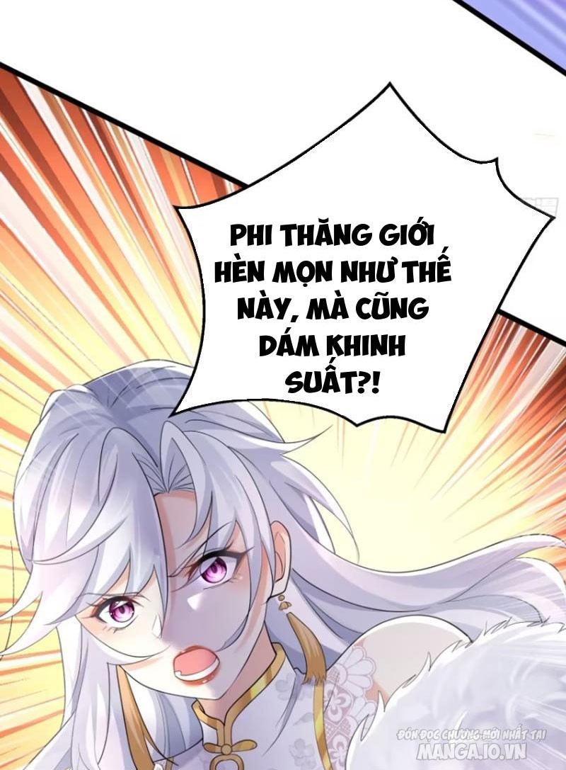 Chuyên Đi Ăn Chực, Ta Trở Thành Vô Địch Chapter 5 - Trang 2