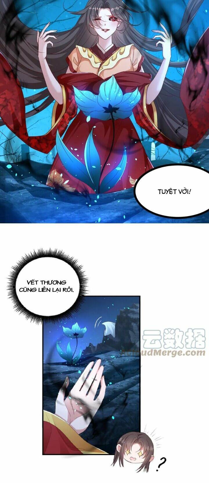 Chuyển Sinh: Thần Y Quận Chúa Khuynh Thiên Hạ Chapter 1 - Trang 2