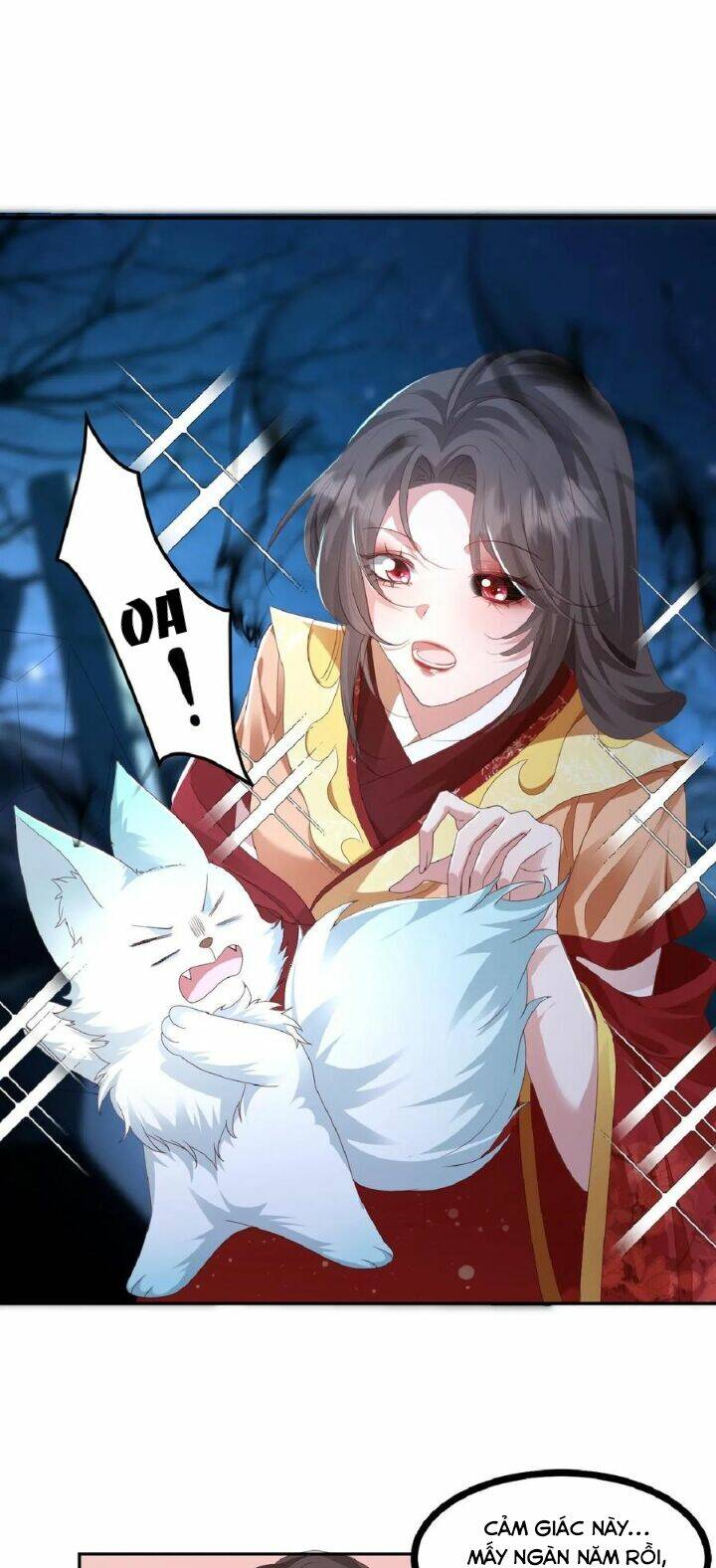 Chuyển Sinh: Thần Y Quận Chúa Khuynh Thiên Hạ Chapter 1 - Trang 2