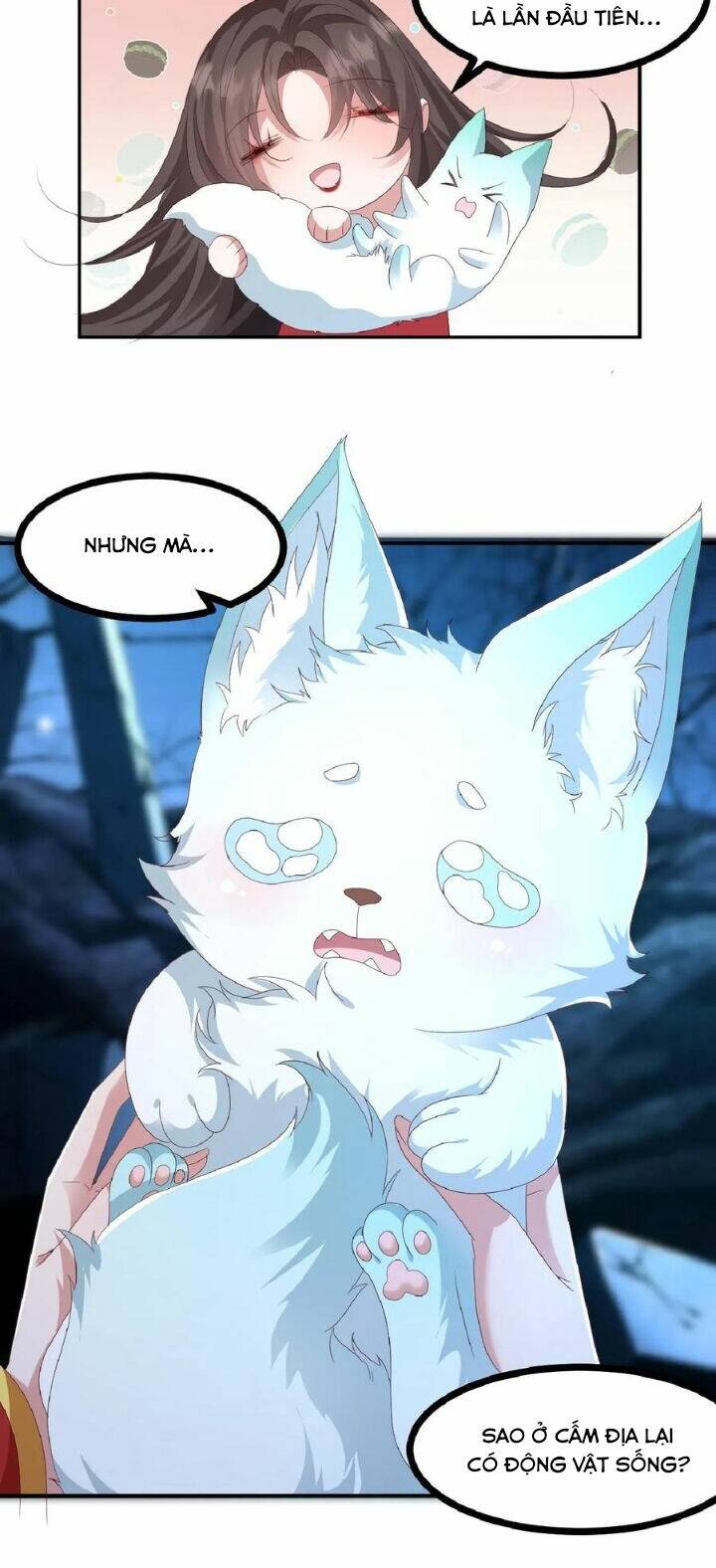 Chuyển Sinh: Thần Y Quận Chúa Khuynh Thiên Hạ Chapter 1 - Trang 2