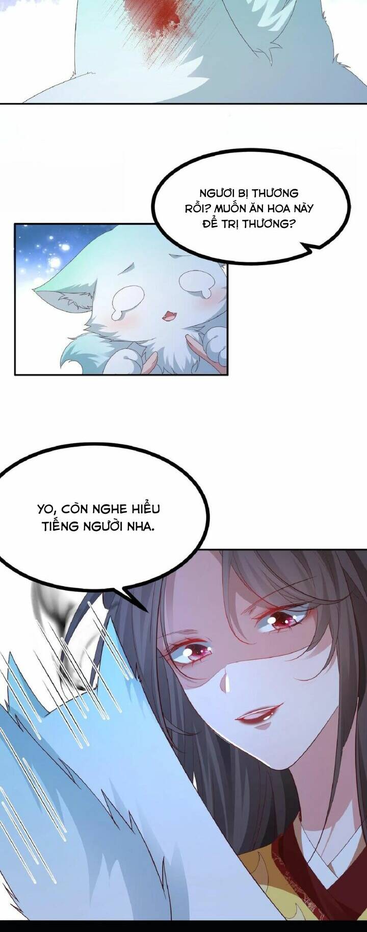 Chuyển Sinh: Thần Y Quận Chúa Khuynh Thiên Hạ Chapter 1 - Trang 2