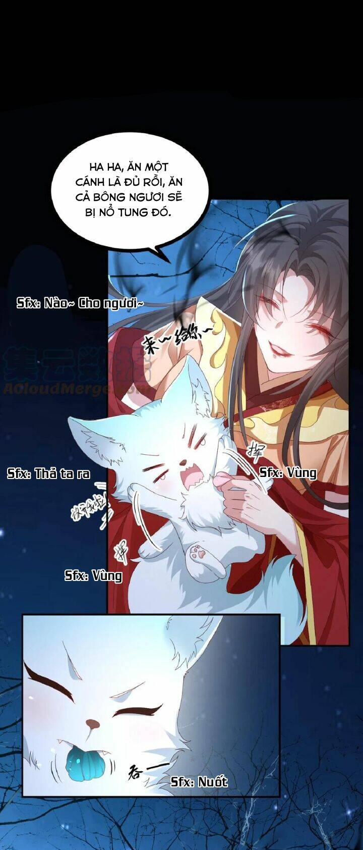 Chuyển Sinh: Thần Y Quận Chúa Khuynh Thiên Hạ Chapter 1 - Trang 2