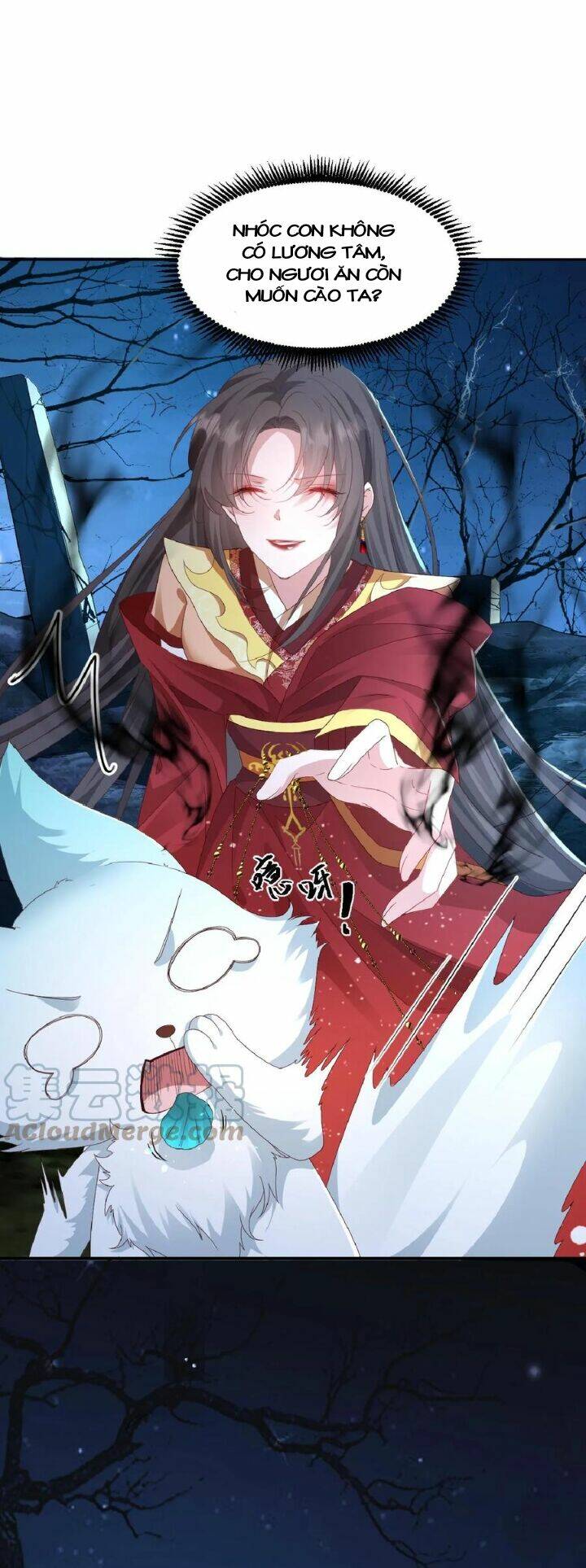 Chuyển Sinh: Thần Y Quận Chúa Khuynh Thiên Hạ Chapter 1 - Trang 2