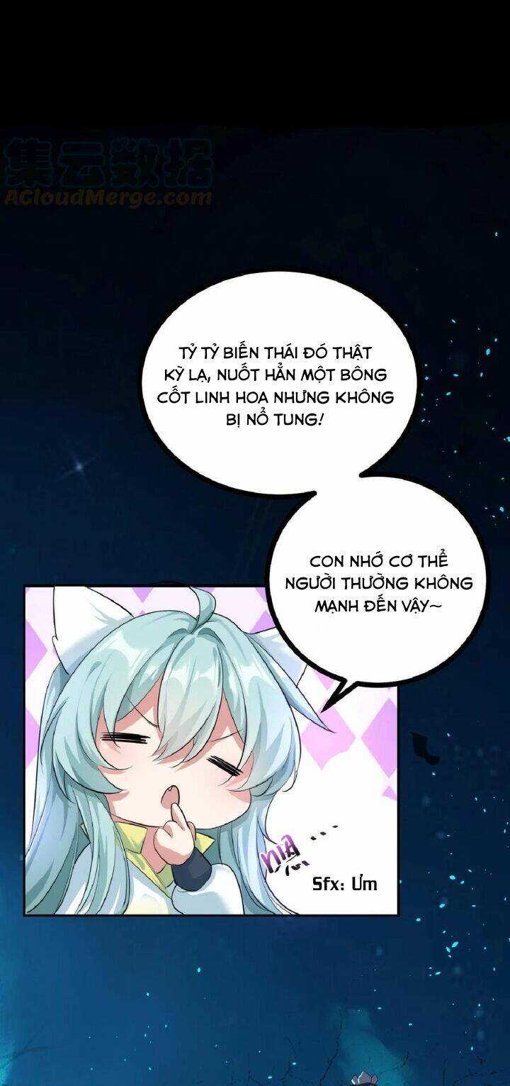 Chuyển Sinh: Thần Y Quận Chúa Khuynh Thiên Hạ Chapter 1 - Trang 2