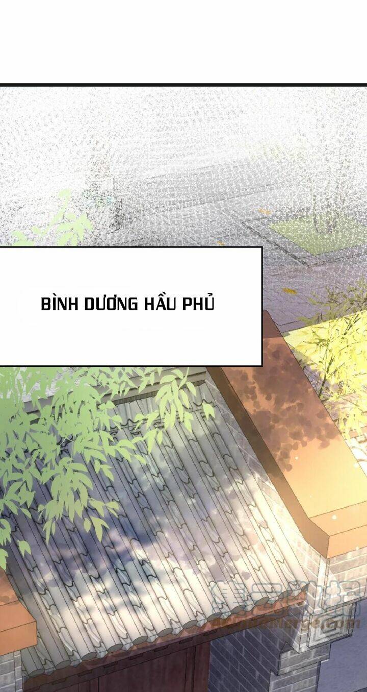 Chuyển Sinh: Thần Y Quận Chúa Khuynh Thiên Hạ Chapter 1 - Trang 2