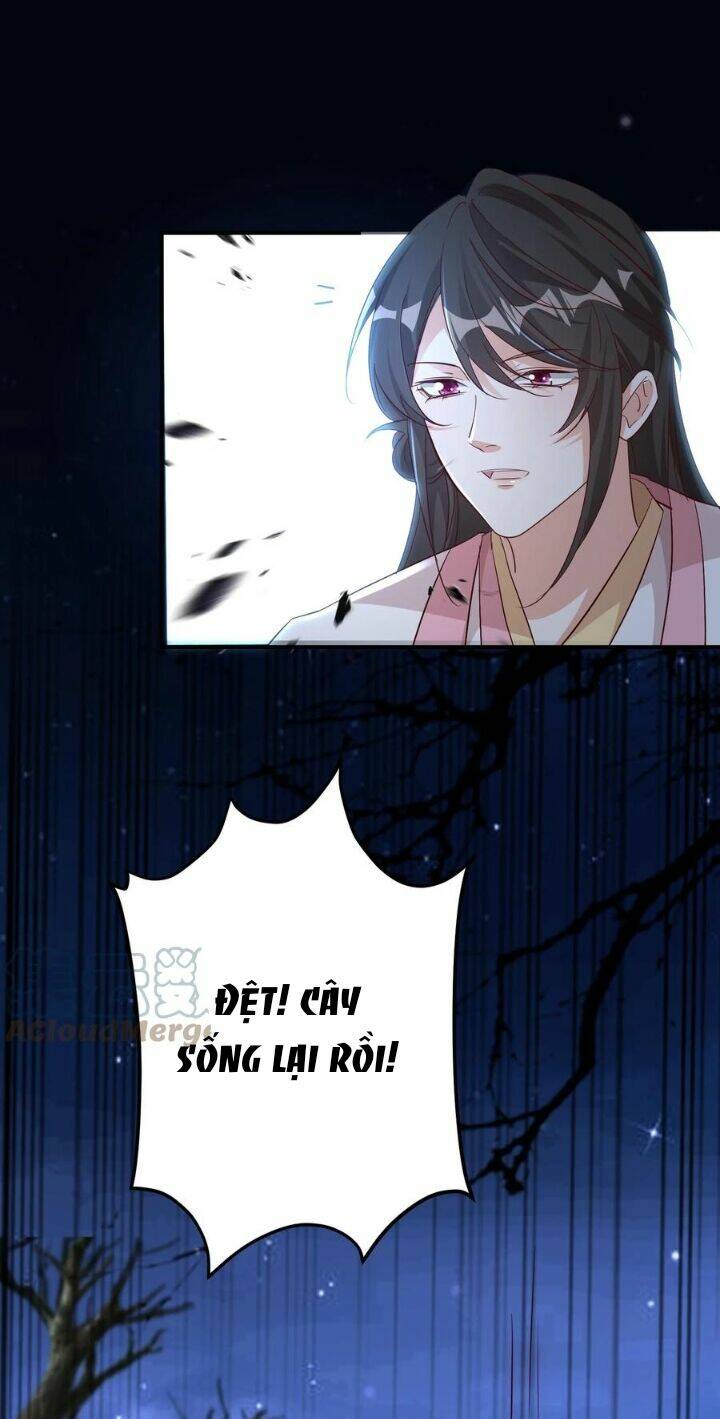 Chuyển Sinh: Thần Y Quận Chúa Khuynh Thiên Hạ Chapter 10 - Trang 2