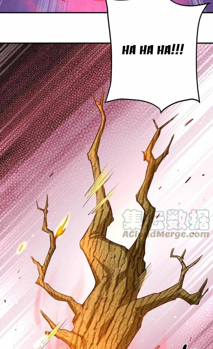 Chuyển Sinh: Thần Y Quận Chúa Khuynh Thiên Hạ Chapter 10 - Trang 2