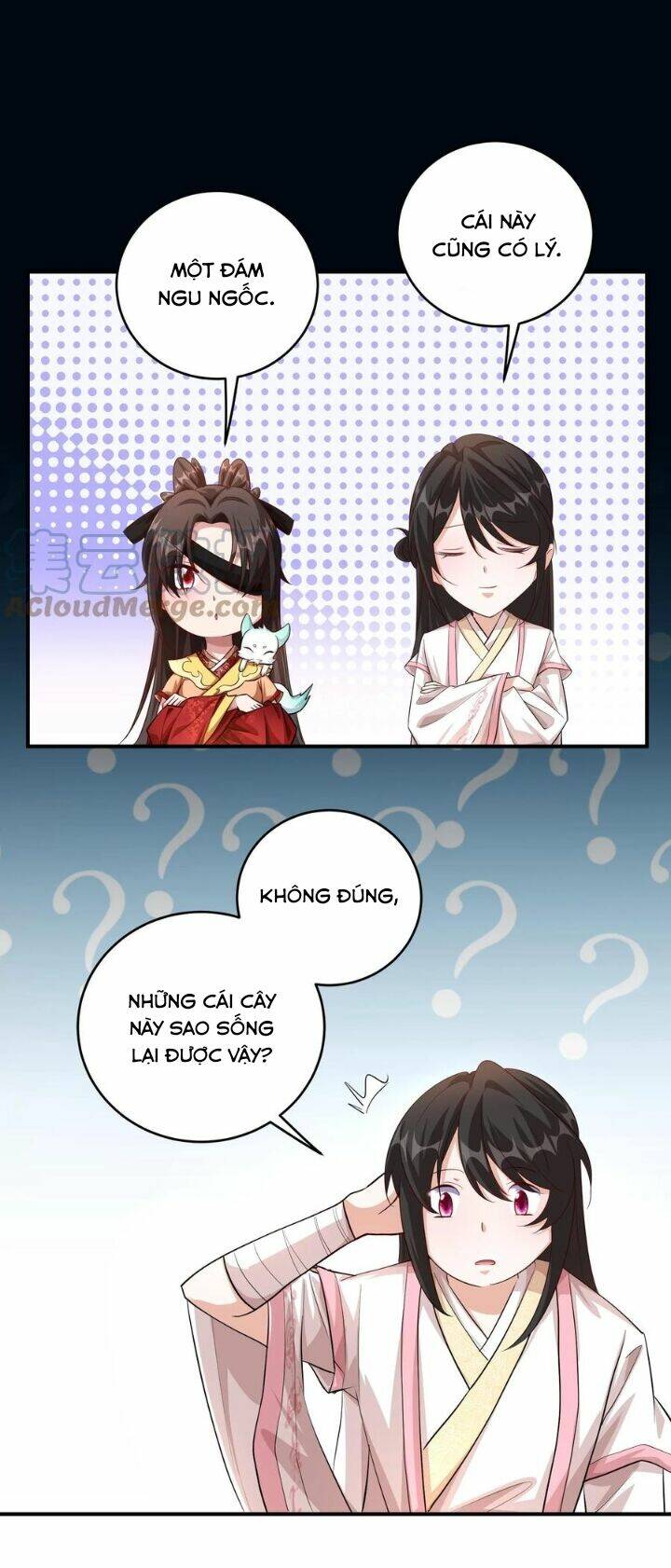 Chuyển Sinh: Thần Y Quận Chúa Khuynh Thiên Hạ Chapter 10 - Trang 2