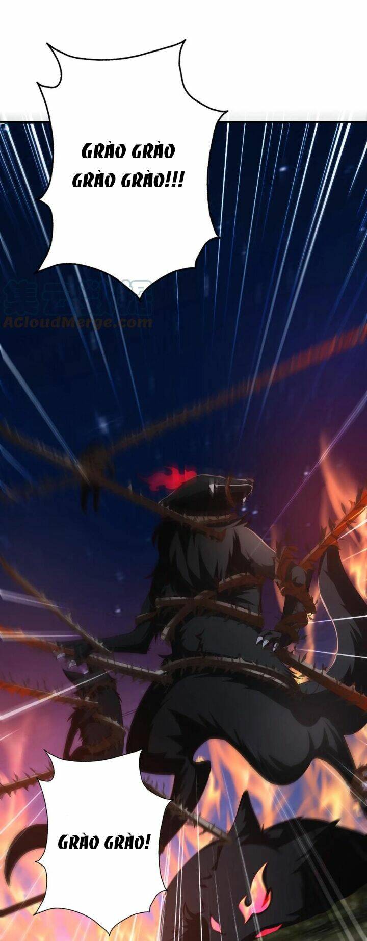 Chuyển Sinh: Thần Y Quận Chúa Khuynh Thiên Hạ Chapter 11 - Trang 2