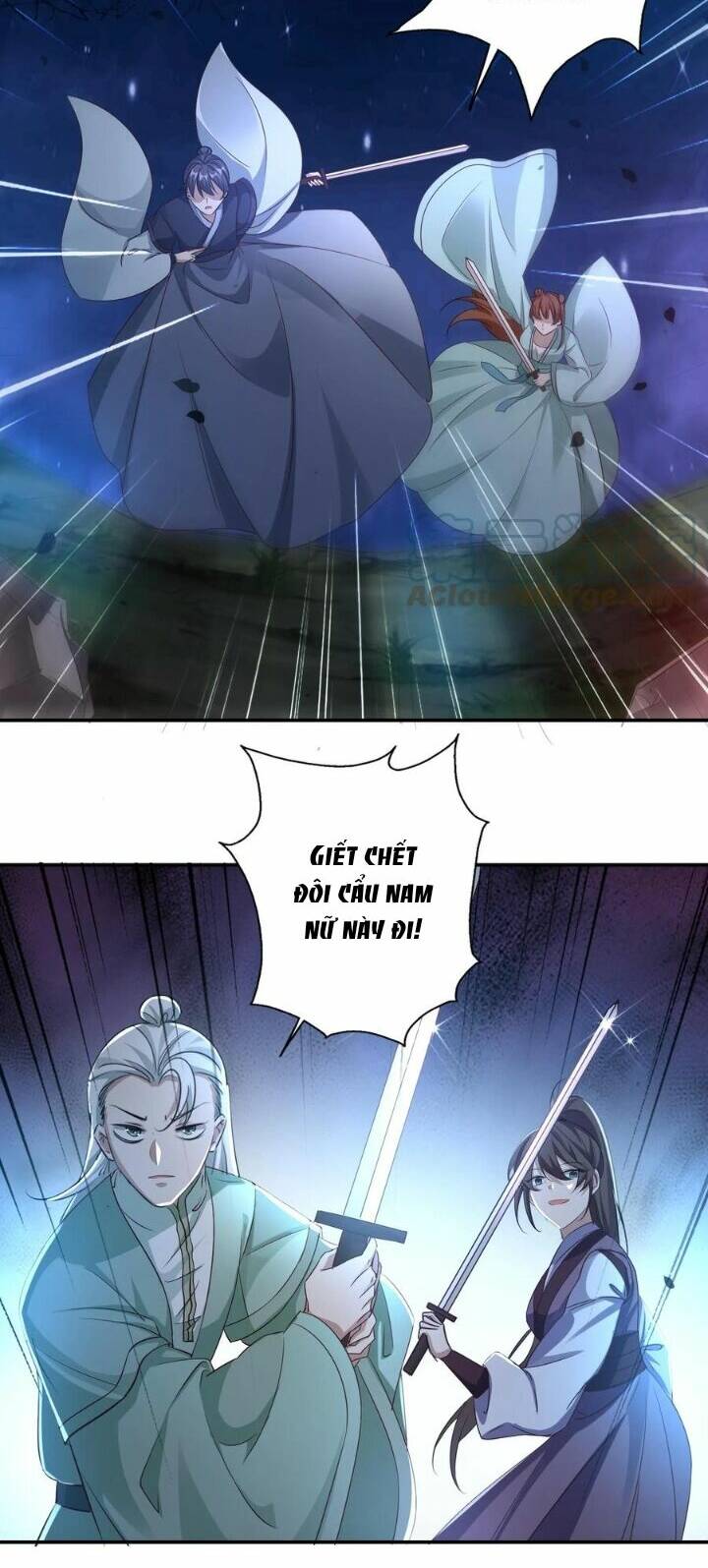 Chuyển Sinh: Thần Y Quận Chúa Khuynh Thiên Hạ Chapter 11 - Trang 2