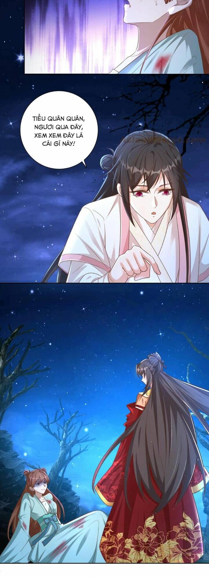 Chuyển Sinh: Thần Y Quận Chúa Khuynh Thiên Hạ Chapter 12 - Trang 2