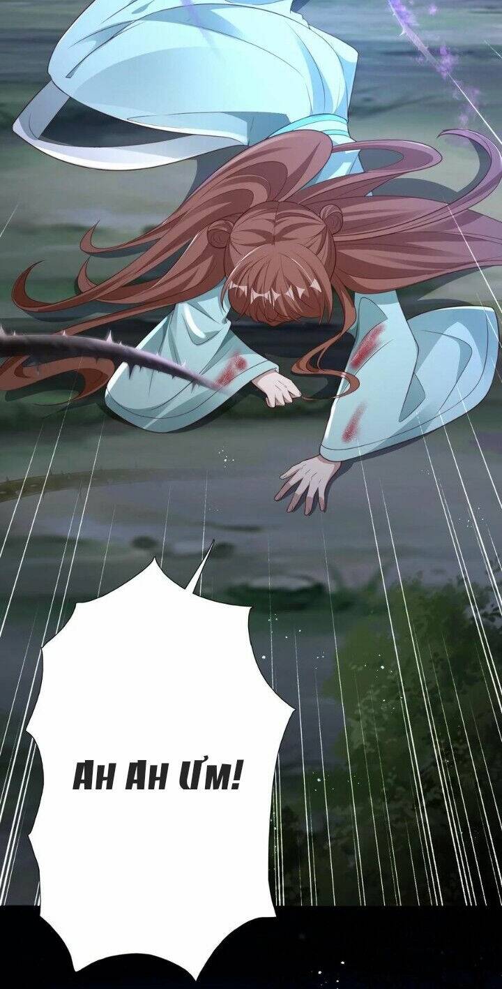 Chuyển Sinh: Thần Y Quận Chúa Khuynh Thiên Hạ Chapter 14 - Trang 2