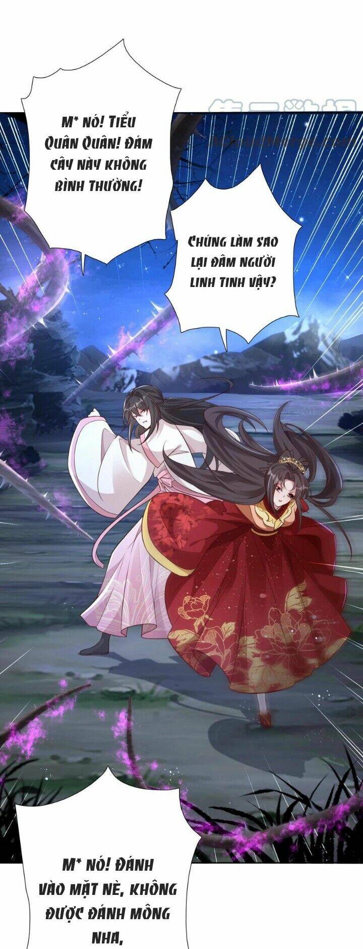 Chuyển Sinh: Thần Y Quận Chúa Khuynh Thiên Hạ Chapter 14 - Trang 2