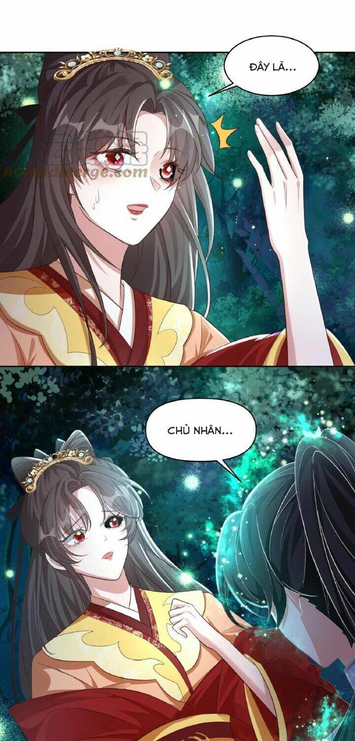 Chuyển Sinh: Thần Y Quận Chúa Khuynh Thiên Hạ Chapter 15 - Trang 2