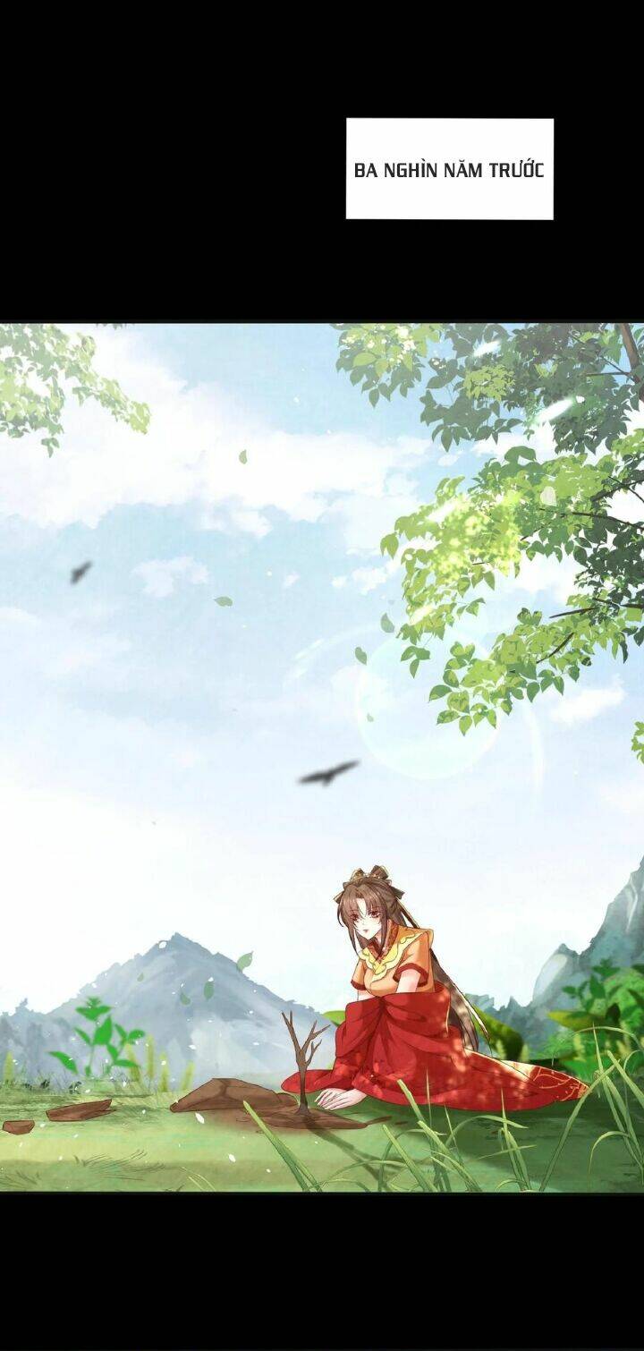 Chuyển Sinh: Thần Y Quận Chúa Khuynh Thiên Hạ Chapter 16 - Trang 2