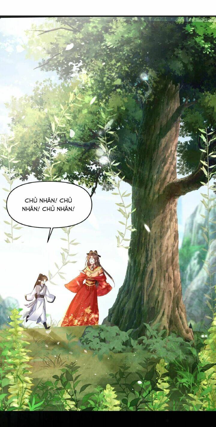 Chuyển Sinh: Thần Y Quận Chúa Khuynh Thiên Hạ Chapter 16 - Trang 2