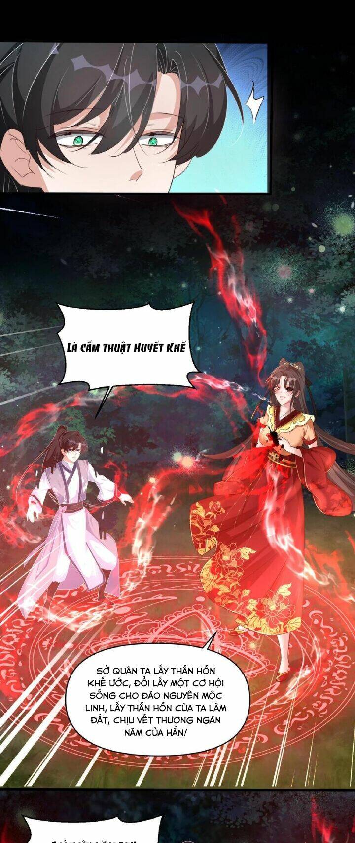 Chuyển Sinh: Thần Y Quận Chúa Khuynh Thiên Hạ Chapter 17 - Trang 2